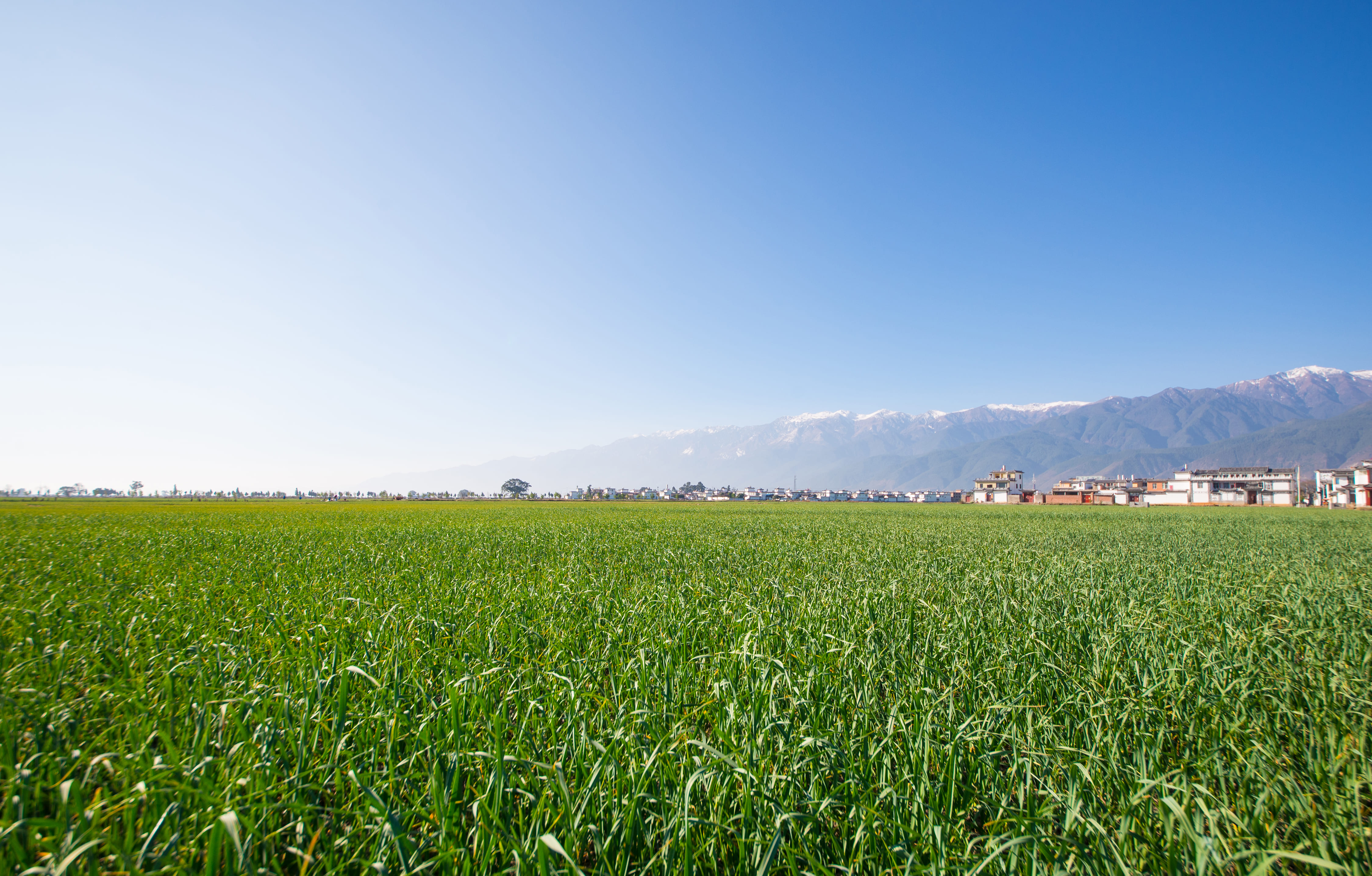 Agricultural land near Ghodasar